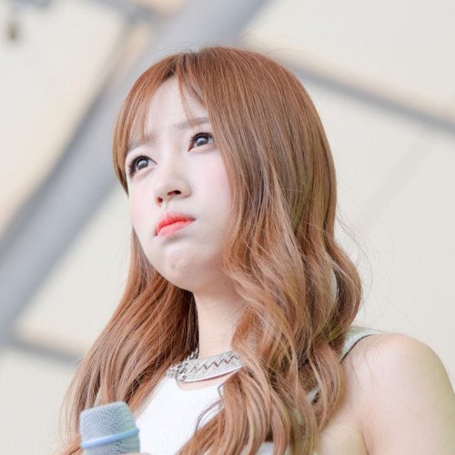 Image 12837