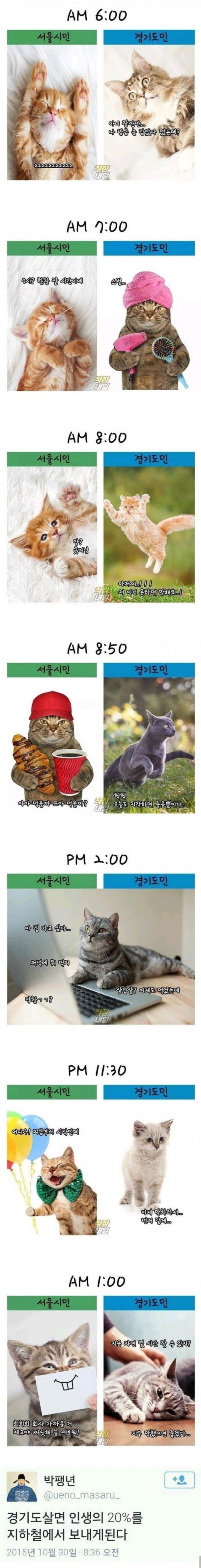 1653020682517.jpg