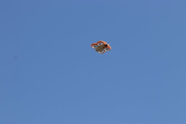 17400163878943.jpg